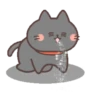 Moving good friend cat .MOV 9