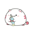 ️Funy Cat  MOV 15
