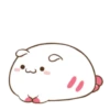 ️Funy Cat  MOV 16