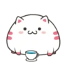 ️Funy Cat  MOV 17