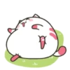 ️Funy Cat  MOV 18
