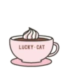 ️Funy Cat  MOV 19