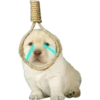 Perritos 2.0 12