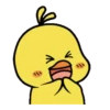 Cute Litte Chicks 5