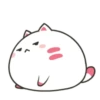 ️Funy Cat  MOV 20
