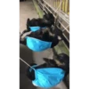 Perros Animados 3 13