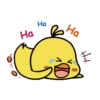 Cute Litte Chicks 6