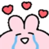️ Pink Rabbit heart  MOV 16