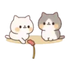 Family Meow   Mov 17