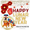 Chinese New Year 2022 7