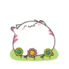 ️Funy Cat  MOV 23