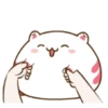 ️Funy Cat  MOV 24