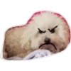 Perritos 1.0 21
