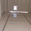 Perros Animados 3 22