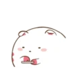 ️Funy Cat  MOV 25