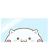 ️Funy Cat  MOV 26