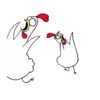 Chicken Bro 23