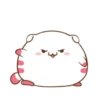 ️Funy Cat  MOV 27
