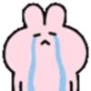 ️ Pink Rabbit heart  MOV 23