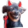 Perritos 2.0 23