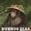 monitos 28