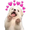 Perritos 1.0 25