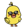 Cute Little Chicks 2 5