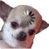Perritos 1.0 26