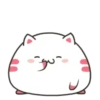 ️Funy Cat  MOV 28