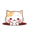 Meow Funny    Mov 20