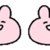 ️ Pink Rabbit heart  MOV 26