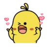 Cute Little Chicks 2 6