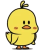 Cute Little Chick Pop-up 21