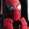 Spiderman   Tobey 27