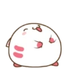 ️Funy Cat  MOV 29