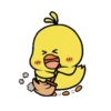 Cute Little Chicks 2 7