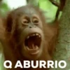 monitos 29
