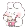 Cream puff bunny rabbit(2) 25