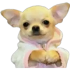 Perritos 1.0 29