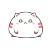 ️Funy Cat  MOV 30