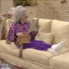 The Nanny 27