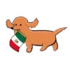 México lindo ️1 Movi 6