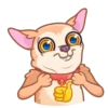[CHIHUAHUA] ️ ️ 5