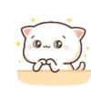 Mochi Cat 1  Movi 5