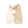2Gato tierno mov 5
