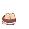 Un Perrito 5