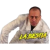 Yayo 8