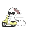 Cute Puppy 4  .MOV 9