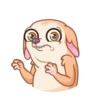 [CHIHUAHUA] ️ ️ 6