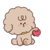 Cute Doggies   (mov) 9